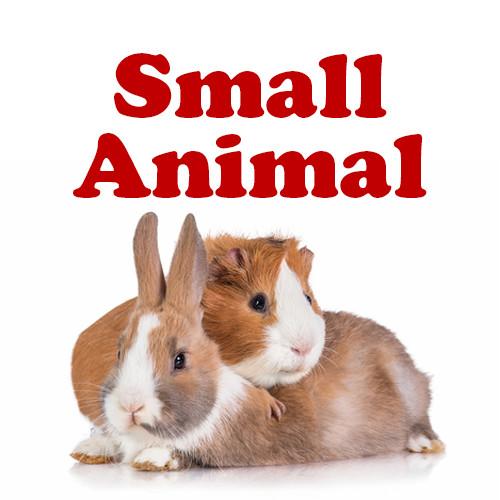 Double-D Cups Small – Squawks Pet Store