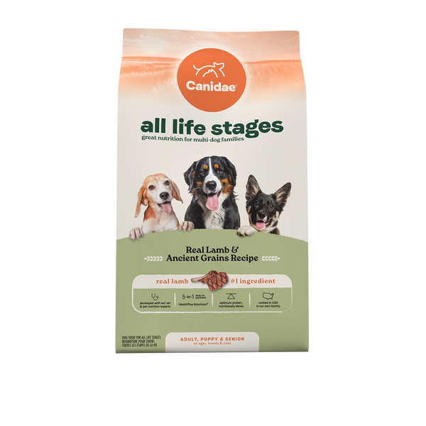 Canidae All Life Stages Lamb & Ancient Grains Dry Dog Food