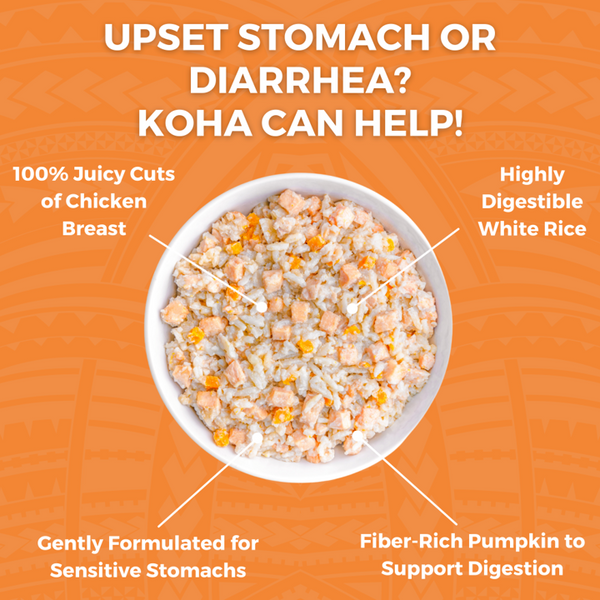 KOHA Limited Ingredient Bland Diet Chicken & White Rice Wet Dog Food