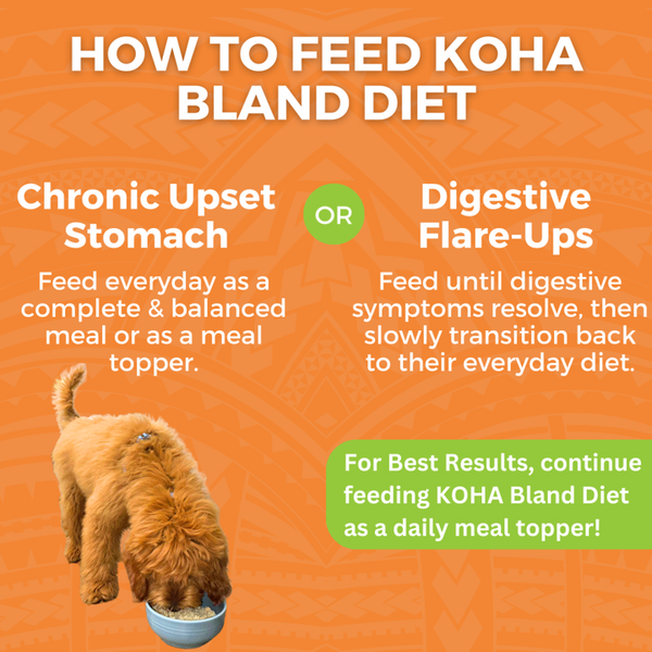 KOHA Limited Ingredient Bland Diet Chicken & White Rice Wet Dog Food