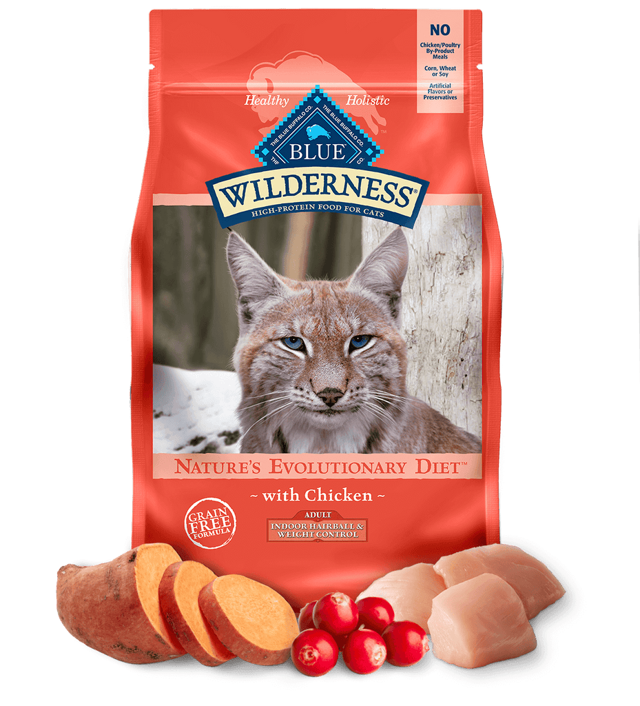 Best price on blue buffalo cat food sale