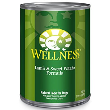 Wellness dog wet on sale food