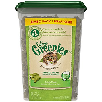 Greenies catnip outlet dental treats