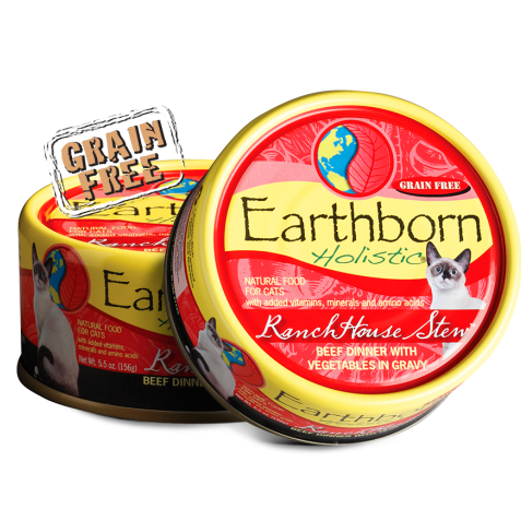 Earthborn dry cat food sale