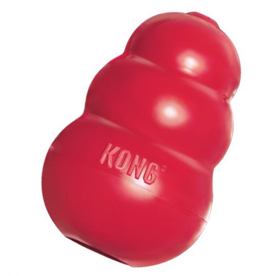 Kong Treat Spiral Ring Dog Toy - Large