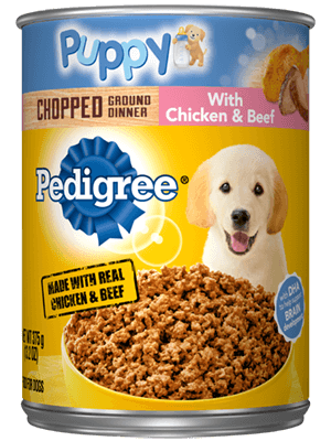 Pedigree puppy top